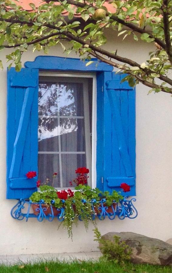 Flower Street Svityaz' Bagian luar foto