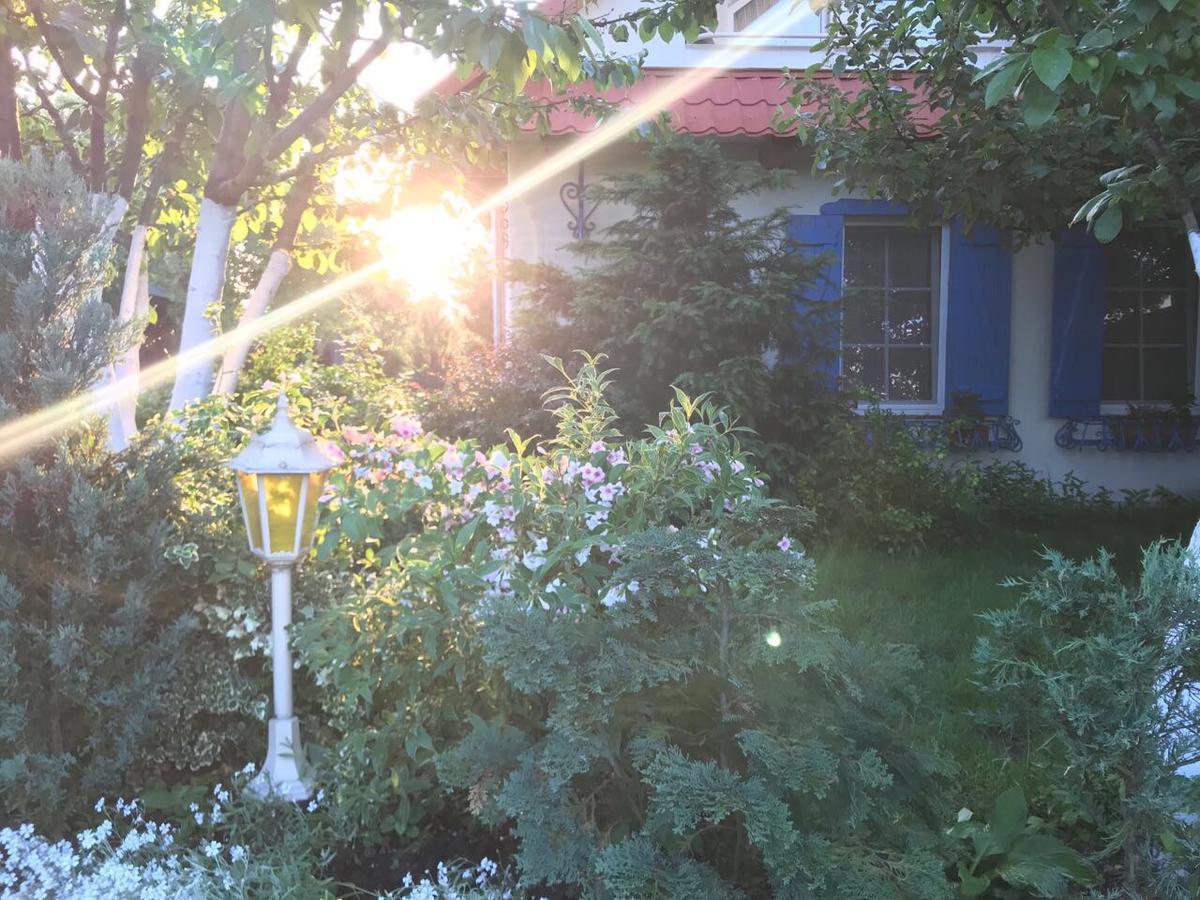 Flower Street Svityaz' Bagian luar foto
